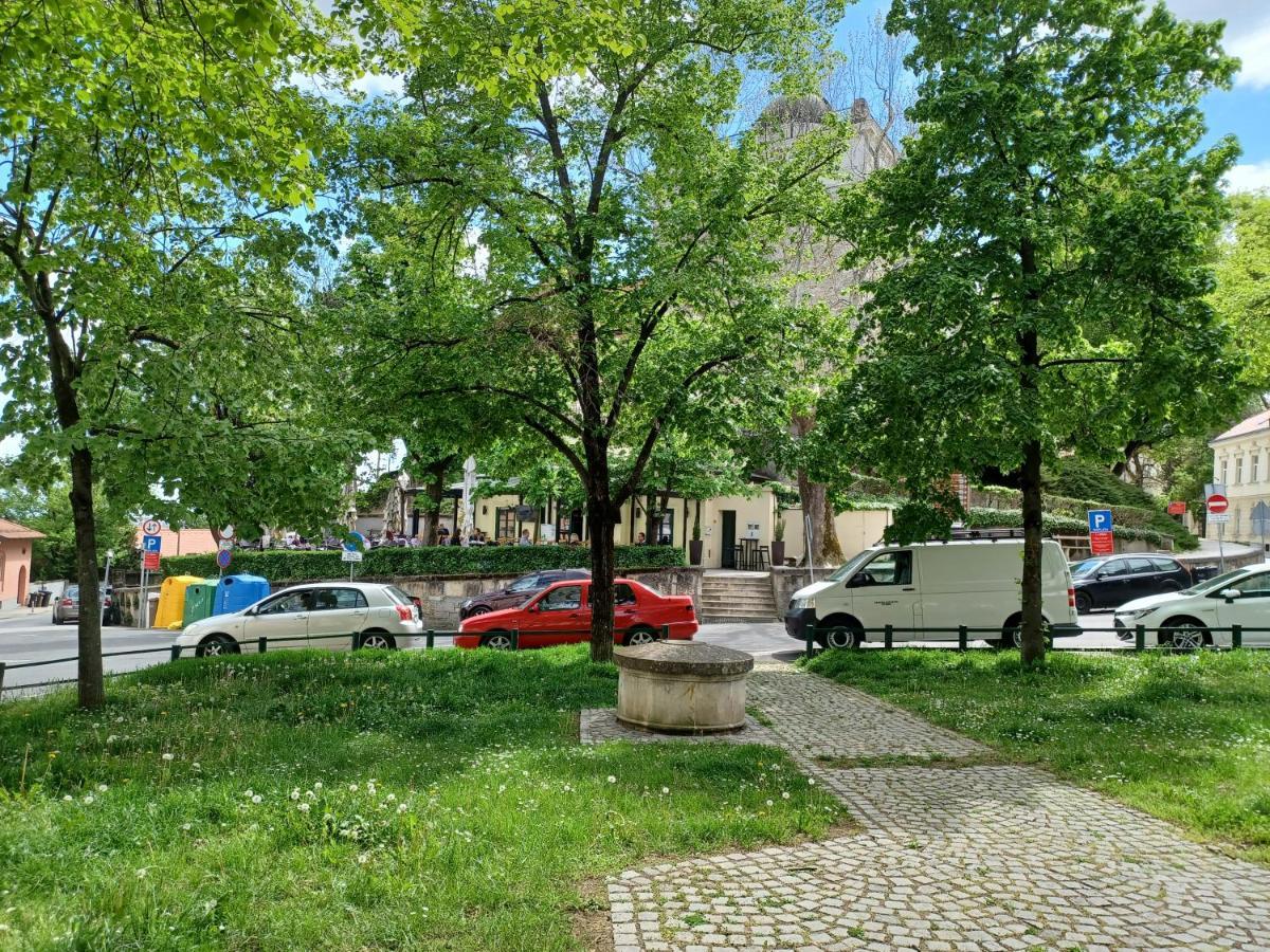 Apartment Antiope Zagrzeb Zewnętrze zdjęcie